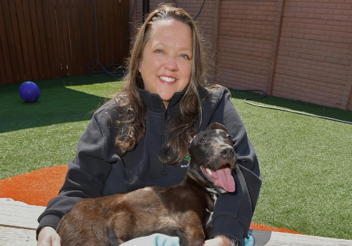 TITAN Women In Business and Leadership Awards Winner - Stray Rescue of St. Louis - Cassady Caldwell, CEO of Stray Rescue of St. Louis